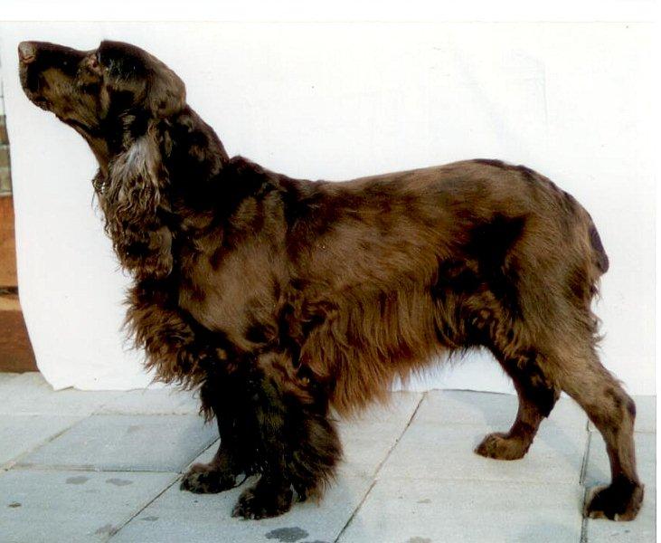 Chris 1992