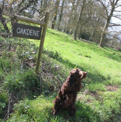 Oakdene Fields Society