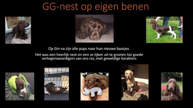 Nieuws