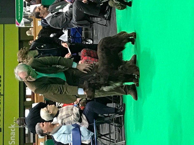 Crufts 2018