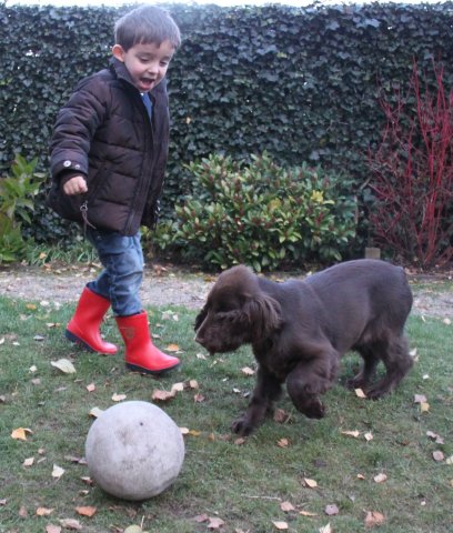 samen spelen 2
