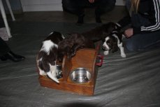 img_5878